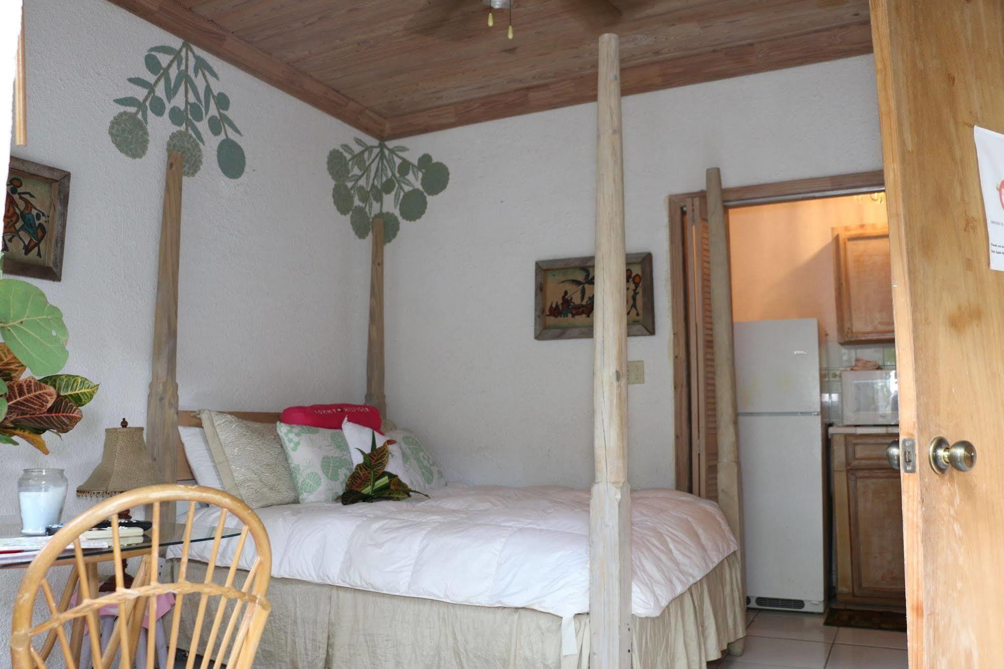 The Sugar Apple Lodging Dunmore Town Eksteriør bilde